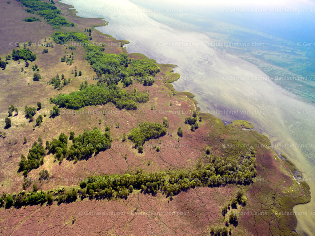 2415316 | STECKBORN 15.04.2020 Baumstrukturen an der Uferbereichs- Landschaft am Gebiet der Seenkette Untersee am Bodensee in Steckborn im Kanton Thurgau, Schweiz. // Waterfront landscape on the lake Untersee on Bodensee in Steckborn in the canton Thurgau, Switzerland. Foto: Gerhard Launer