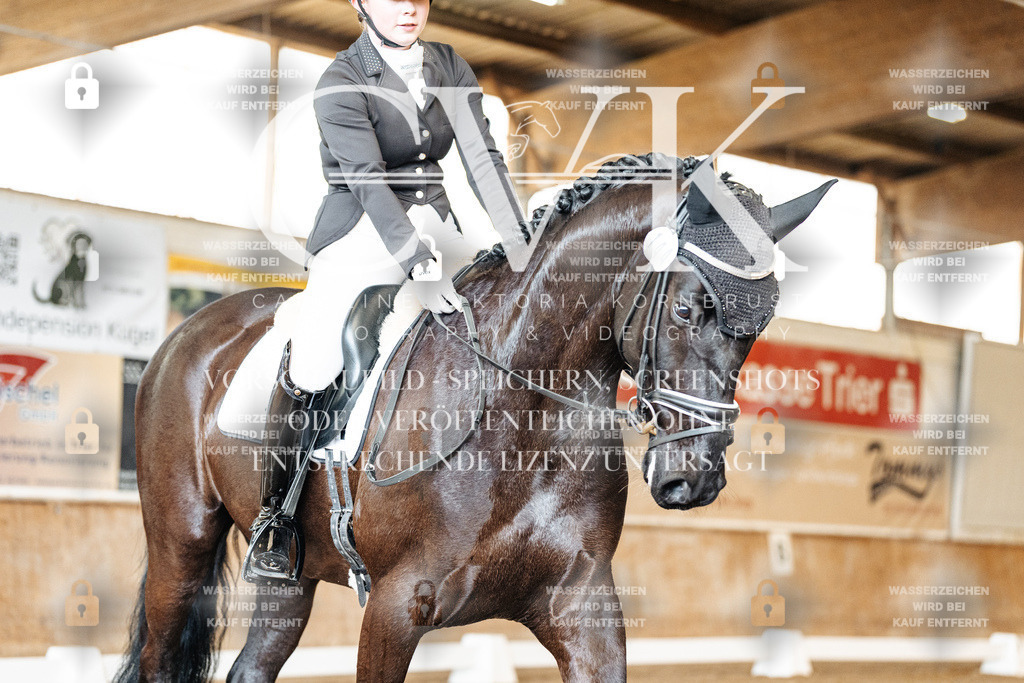 CK900644 | Turnierfotografie Pferdefotografie Trier Rheinland-Pfalz Pferdesport Reitsport Tierfotografie Sportfotografie Pferdevideo Pferdevideografie Equestrianvideography equestrianphotography  - Realisiert mit Pictrs.com