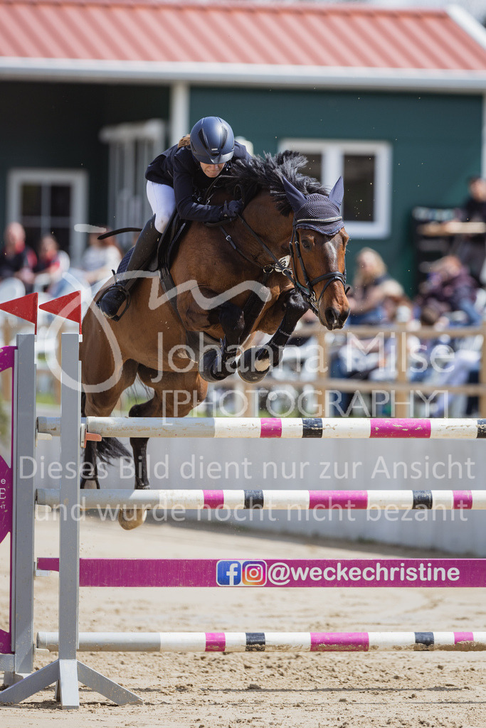 230501_SpengeW_M2St-198 | Deine schönsten Turniermomente als professionelle Fotos! Entdecke hochwertige Pferdesport-Fotografie im Online-Shop. Jetzt Fotos finden & bestellen!