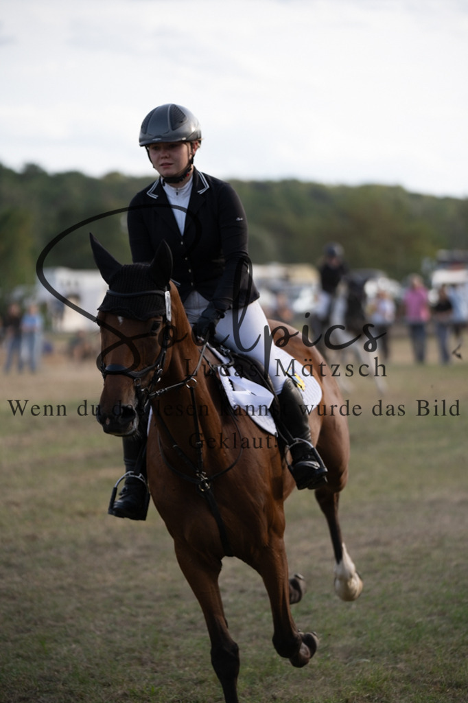 A7V09903 | Pferdefotograf