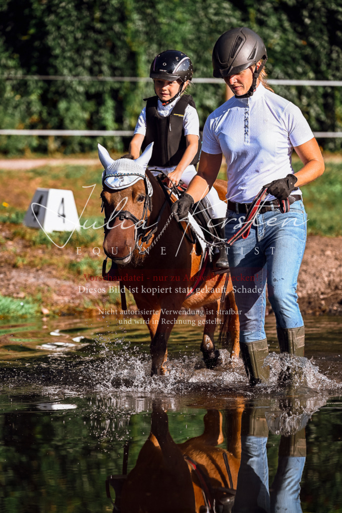 DSC_0488 | Pferde- und Turnierfotografie in Westsachsen. Pferdeportraits, Auftragszeichnungen und intuitive Kunst.