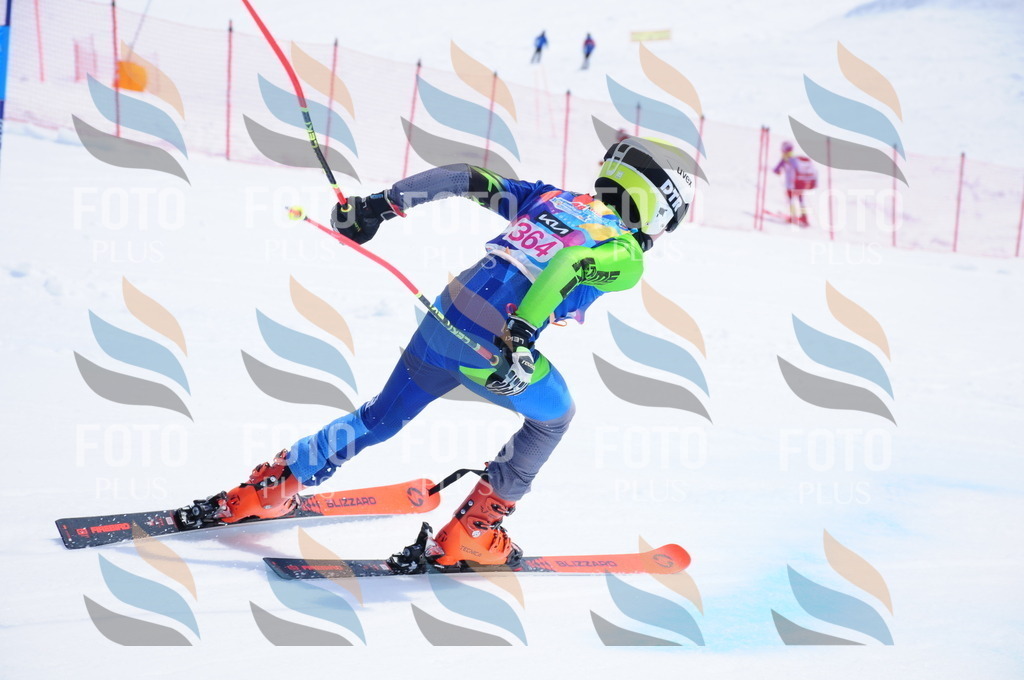 DSC_7260 | holidayphoto