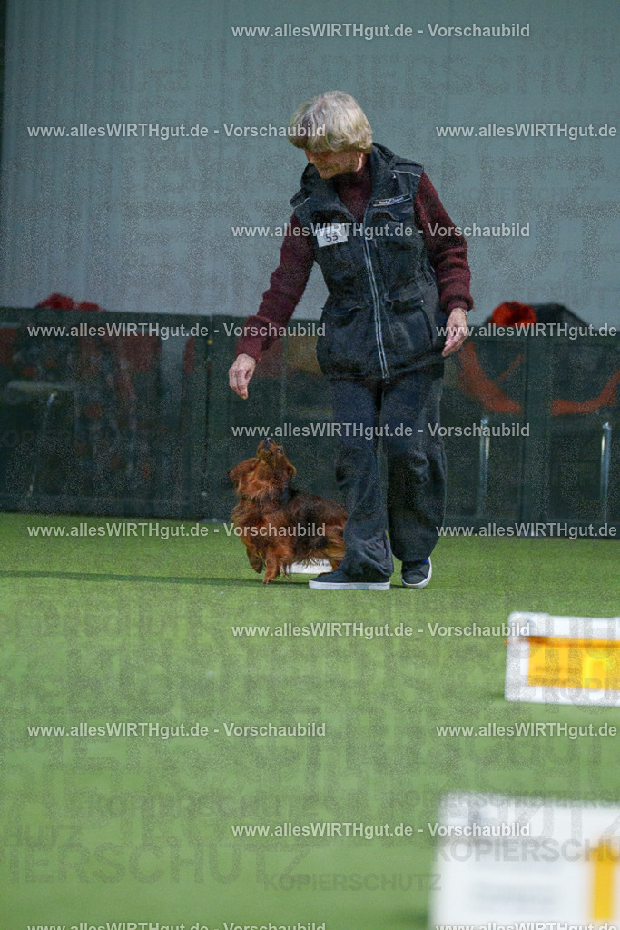 7R506855 | Professionelle Tierfotografie in Mönchengladbach von Daniel Wirth (allesWIRTHgut). Liebevolle & natürliche Bilder von Hunden & Katzen für unvergessliche Erinnerungen.