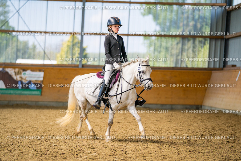 DSC03438 | Pferdegrafie