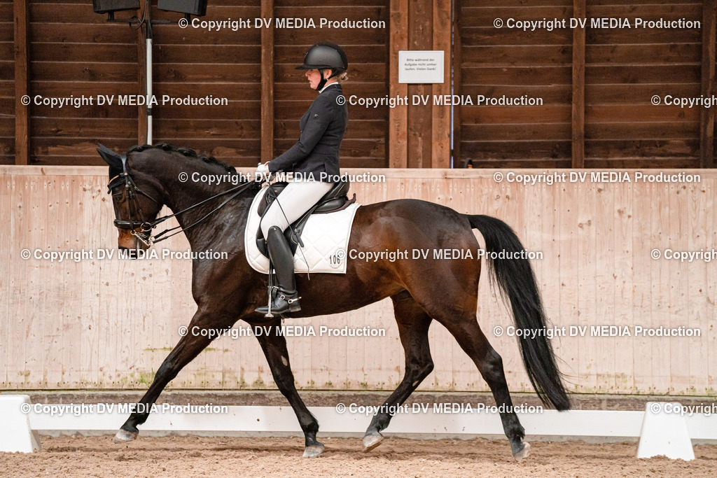 Dressur Tag 3-266 | dv-media-shop - Realisiert mit Pictrs.com