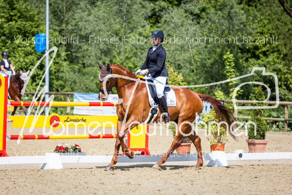 Donop24-L-Dre-066 | MomenTaufnahmen Pferdesportfotos