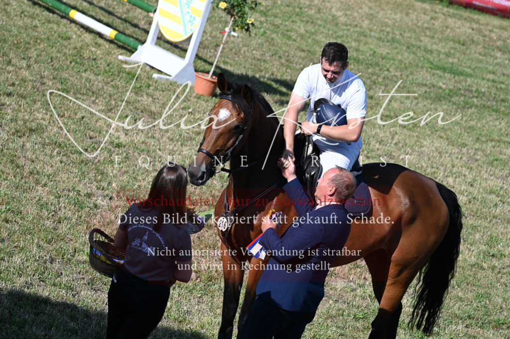 DSC_2595 | Pferde- und Turnierfotografie in Westsachsen. Pferdeportraits, Auftragszeichnungen und intuitive Kunst.