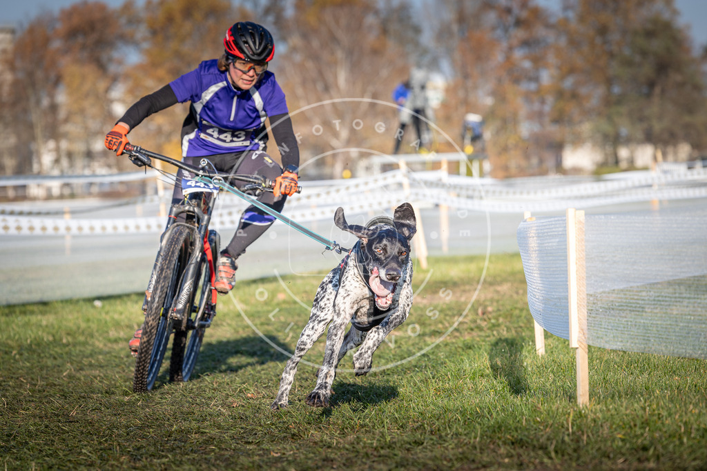 CaniXpix_0L8A4334 | Hundefotografie, Tierfotograf, Pfotenfotografie, Fotoshooting Hund, Hunde Portrait, Hundesport, Hundeportraits, Heideshooting, Hunde, Sportfotograf, Hundefotograf, Turnierhundsport, THS,  - Realisiert mit Pictrs.com
