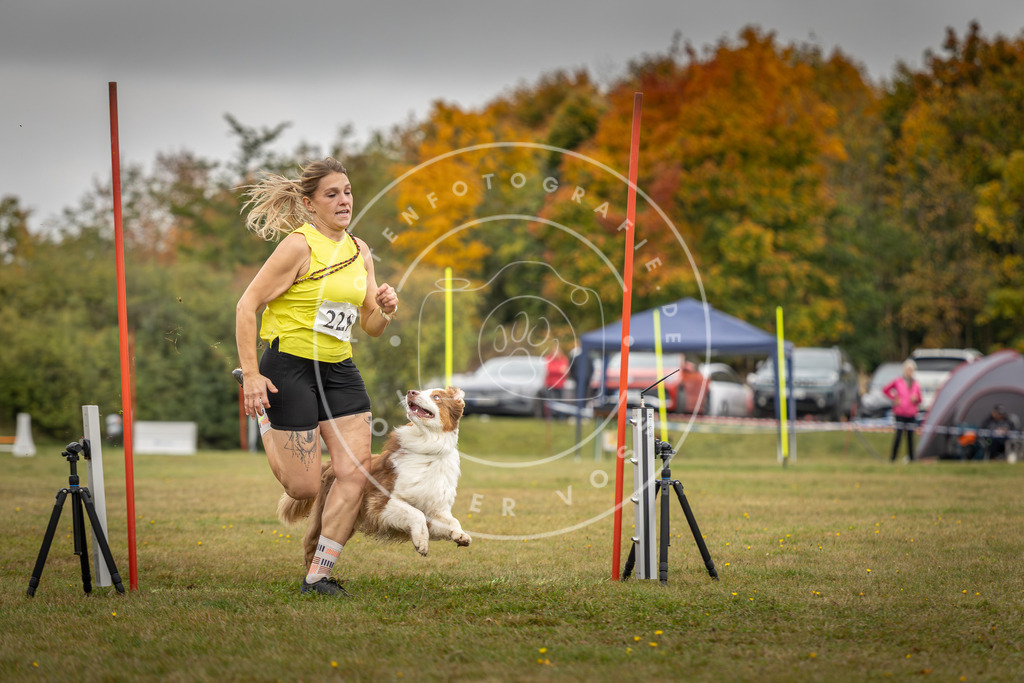 Pfotenfotografie_DV3A3715 | Hundefotografie, Tierfotograf, Pfotenfotografie, Fotoshooting Hund, Hunde Portrait, Hundesport, Hundeportraits, Heideshooting, Hunde, Sportfotograf, Hundefotograf, Turnierhundsport, THS,  - Realisiert mit Pictrs.com