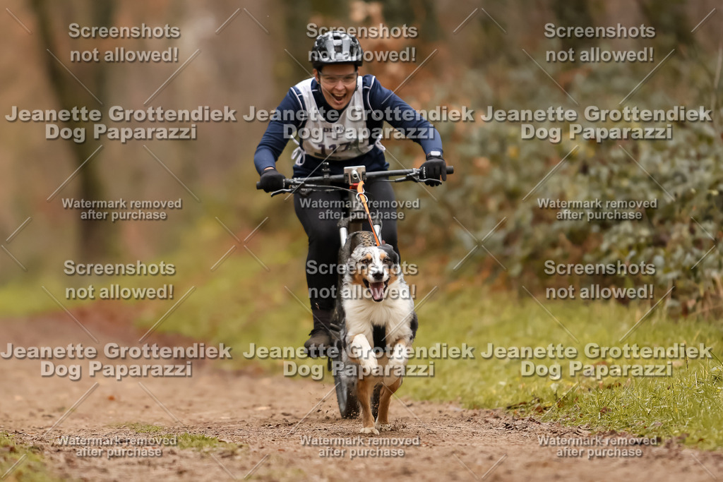 Dog Paparazzi - Speedhunter Mannheim  2025-324 | Dog Paparazzi Jeanette Grottendiek Fotografie & Videografie
