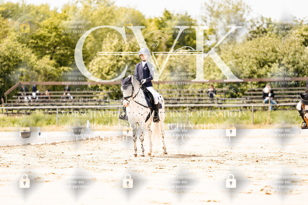 CK901759 | Turnierfotografie Pferdefotografie Trier Rheinland-Pfalz Pferdesport Reitsport Tierfotografie Sportfotografie Pferdevideo Pferdevideografie Equestrianvideography equestrianphotography  - Realisiert mit Pictrs.com