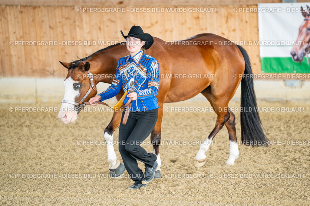 DSC07680 | Pferdegrafie