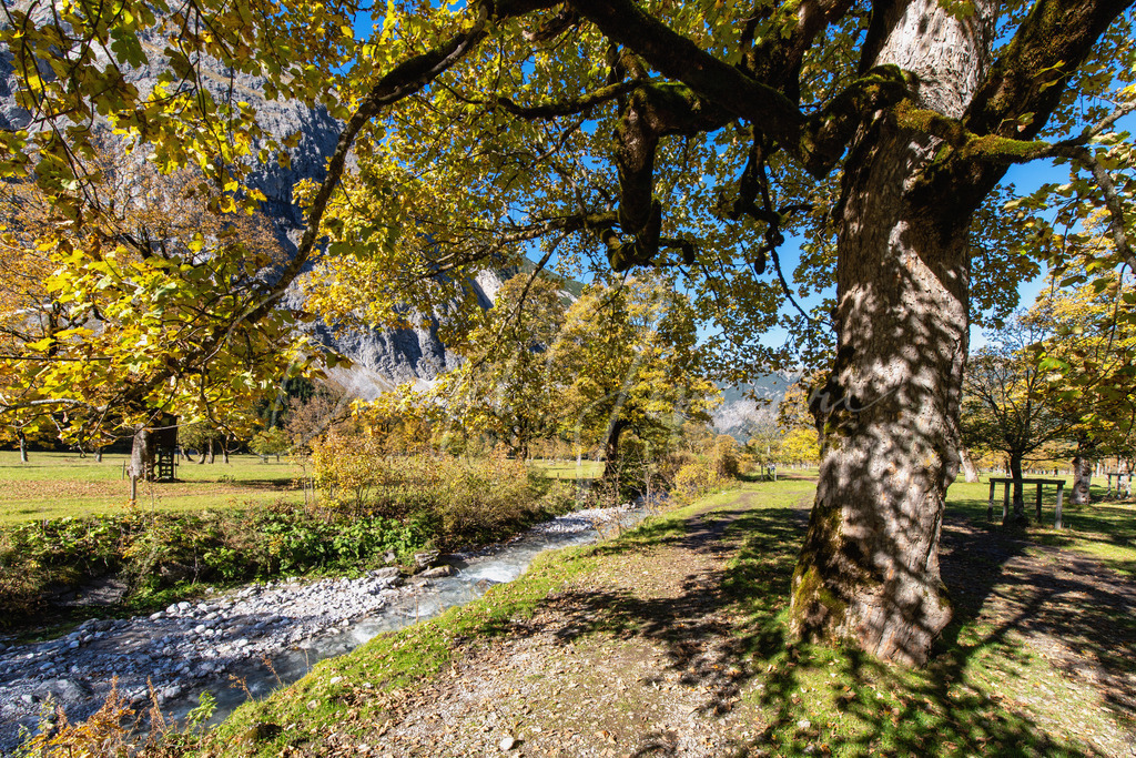 Großer Ahornboden | Herbst am Großen Ahornboden