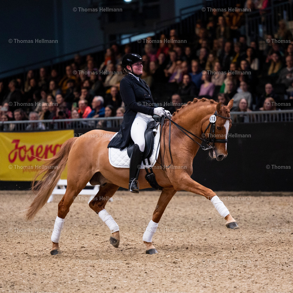 TH_Hengstschau_6025 | EQUITANA Essen 2023 am 14.03.23 in Essen, Thomas Hellmann, Hengstschau