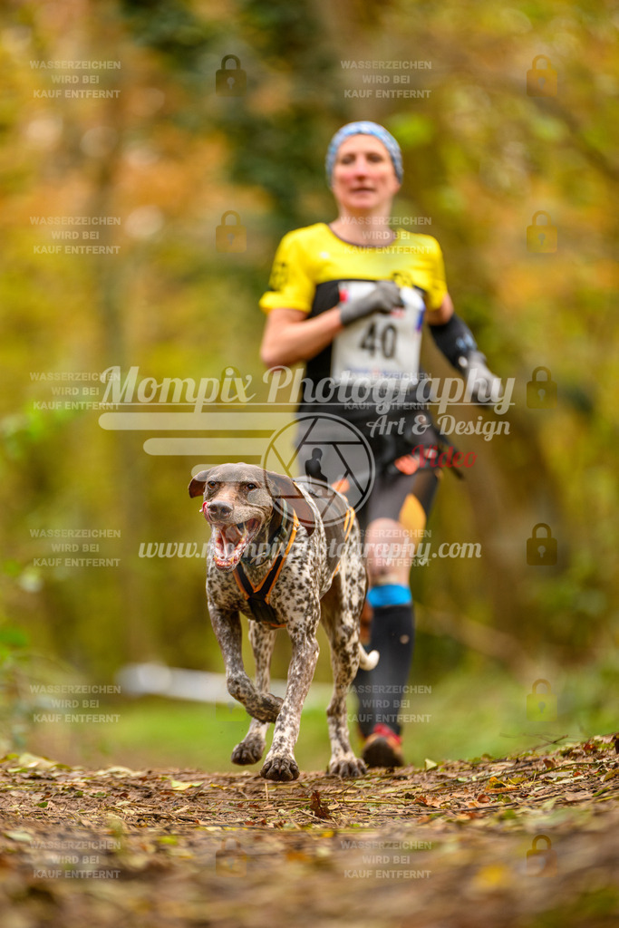 MompixPhotography_Bischwiller24_SA_Canicross-27 | PayLife