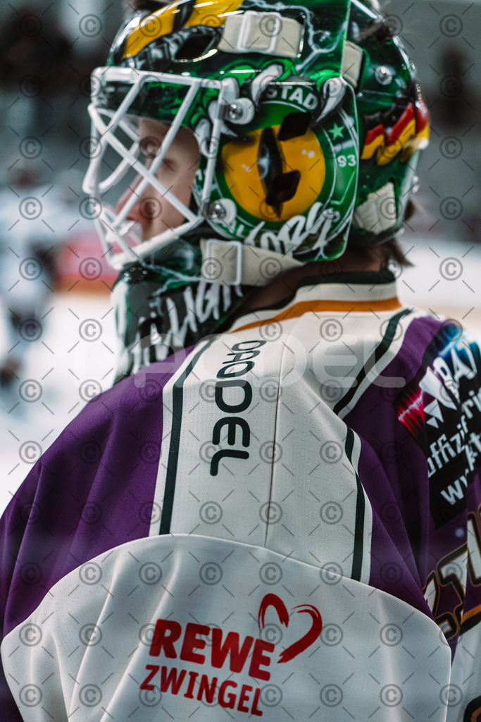 Alligators_vs_Fuessen_27_09_2026-01 | Die Fotogalerie von Daddel: professionelle Bilder von Sport, Events und Unternehmen aus Franken. Jetzt Galerien durchstöbern und Lieblingsfotos bestellen. - Realisiert mit Pictrs.com