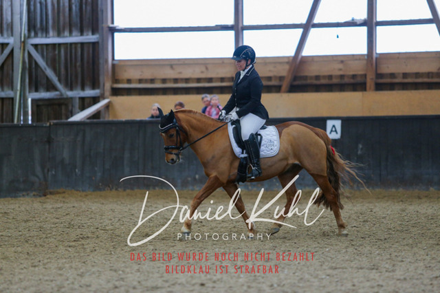 IMG_0734 | Turniersportfotografie; Pferdefotografie; Dressurfotografie