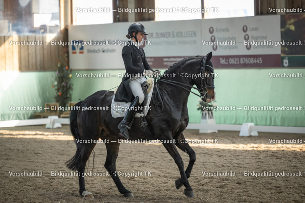 _D5A0642 | Emotionale Pferde- & People-Fotografie rund um Heidelberg, Leimen & Umgebung. Natürliche Fotos von Pferd, Mensch & Familie. Jetzt Termin sichern!