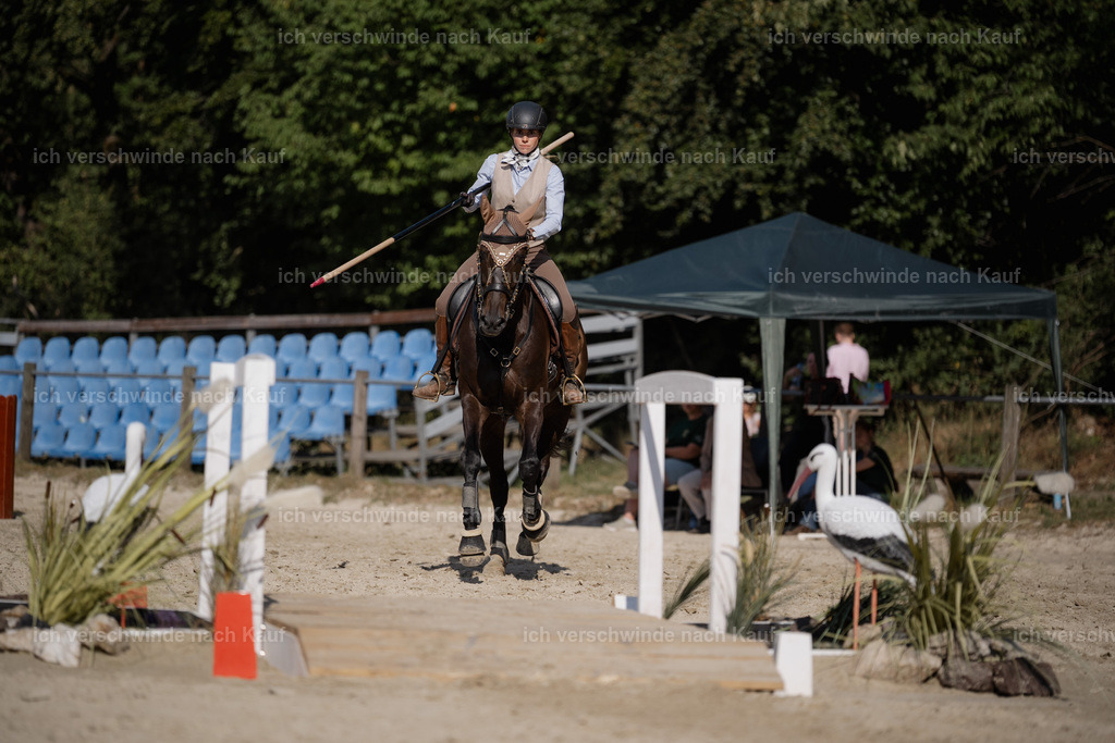 WS_SP_19_Stoibphotography_SO11822 | working equitationturnier fotograf videograf stoibphotography marixx film working equitation deutschland reitsport turnierfotografie eventfotografie equestrian events
