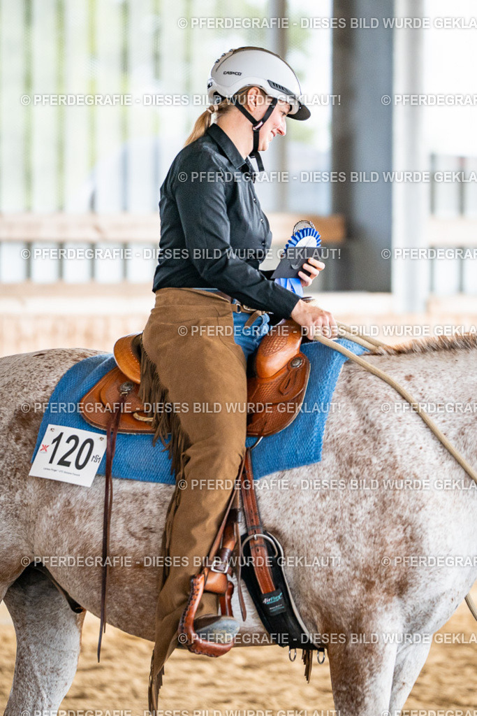 DSC08726 | Pferdegrafie