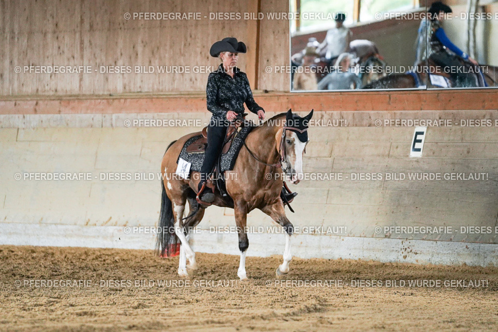 DSC05539 | Pferdegrafie