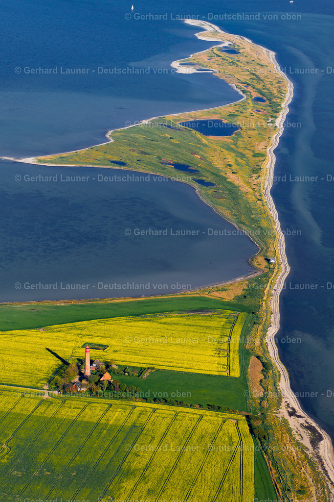 9200655 | Raps-Feldstrukturen am Leuchtturm Flügge, Fehmarn