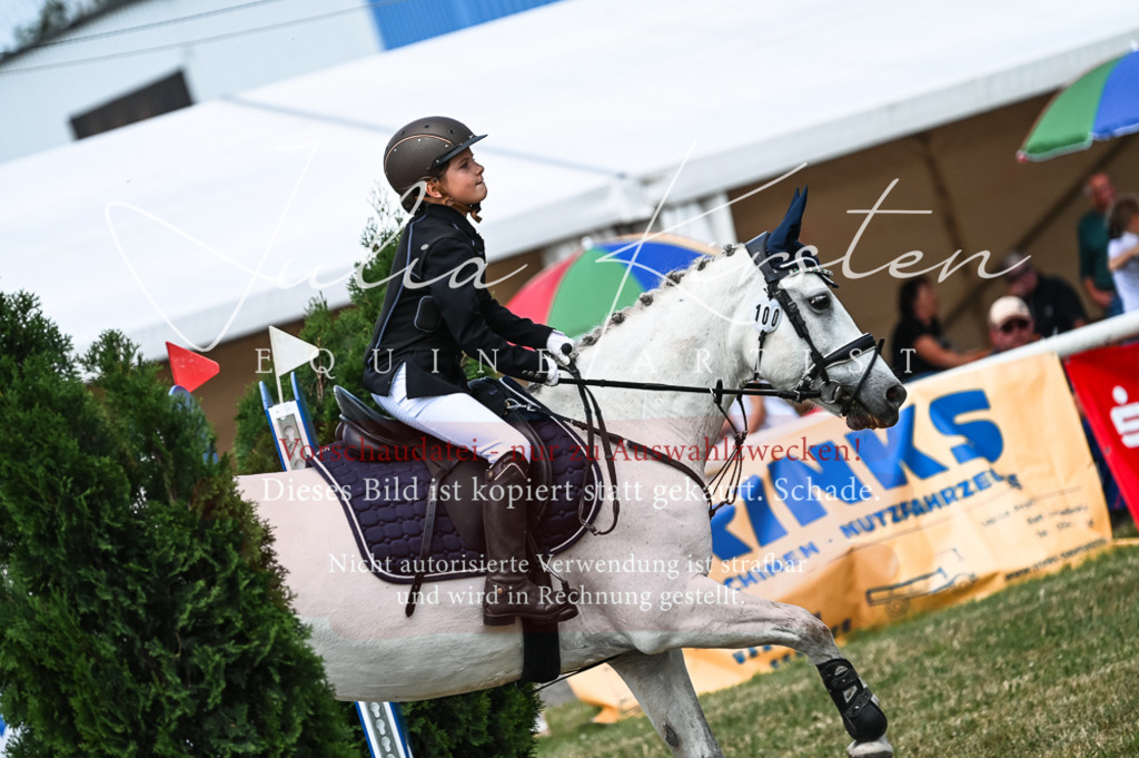 DSC_9625 | Pferde- und Turnierfotografie in Westsachsen. Pferdeportraits, Auftragszeichnungen und intuitive Kunst.