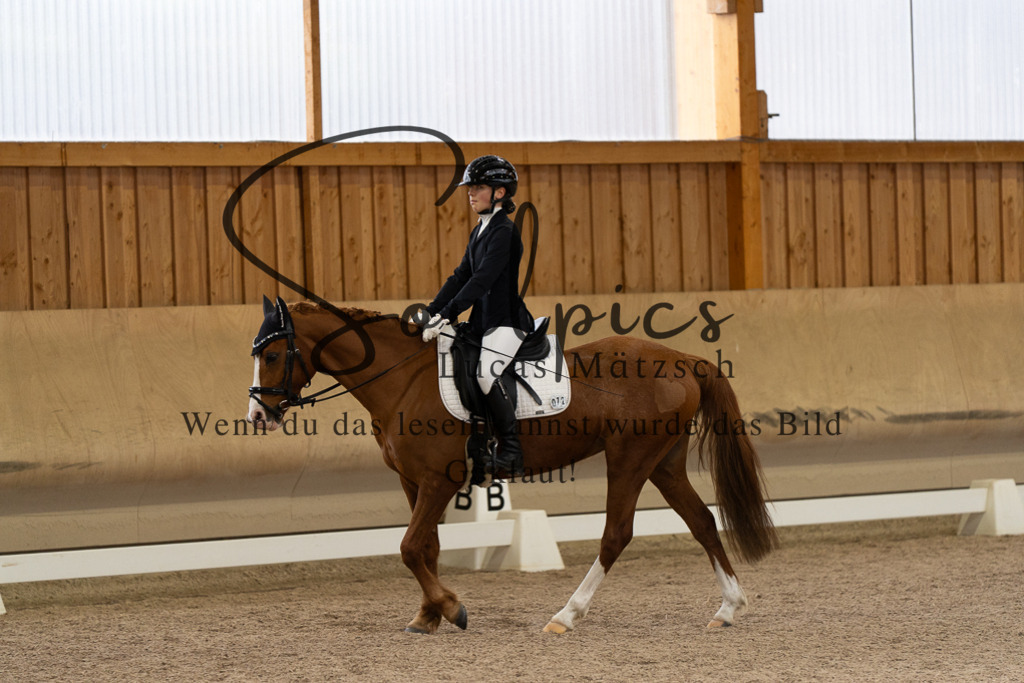 A7507069 | Pferdefotograf