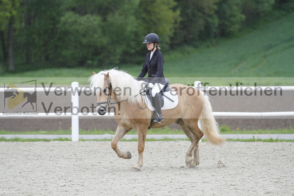 _MG_0976 | equestrian-live-com