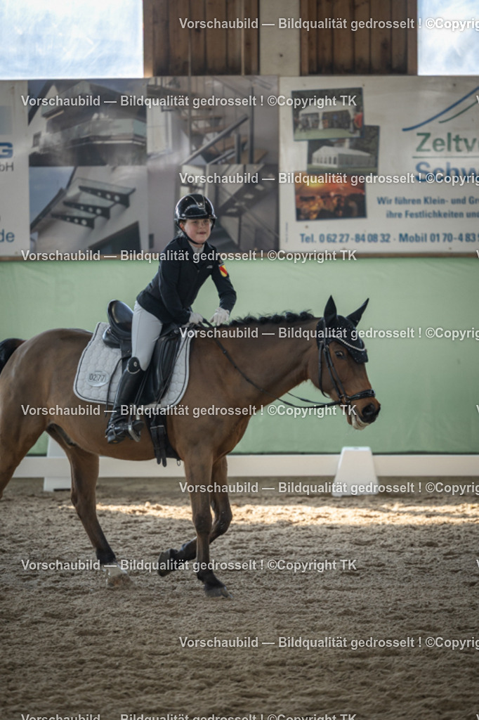 _D5A8583 | Emotionale Pferde- & People-Fotografie rund um Heidelberg, Leimen & Umgebung. Natürliche Fotos von Pferd, Mensch & Familie. Jetzt Termin sichern!