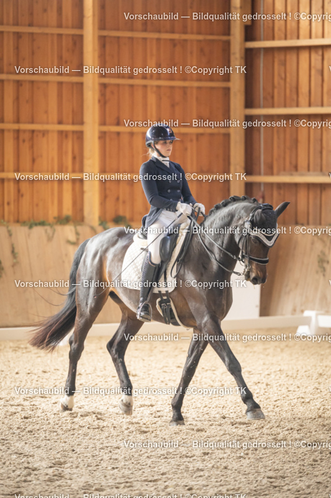 _D5A2946 | Emotionale Pferde- & People-Fotografie rund um Heidelberg, Leimen & Umgebung. Natürliche Fotos von Pferd, Mensch & Familie. Jetzt Termin sichern!