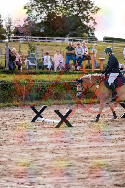 2026_10_03_Siefer-Hof_145301_Z81_32315308 | Professionelle Reitsport-, Turnier- und Eventfotografie von Robert Broda. Galerien mit ausgewählten und bearbeiteten Bildern direkt online ansehen und bestellen.