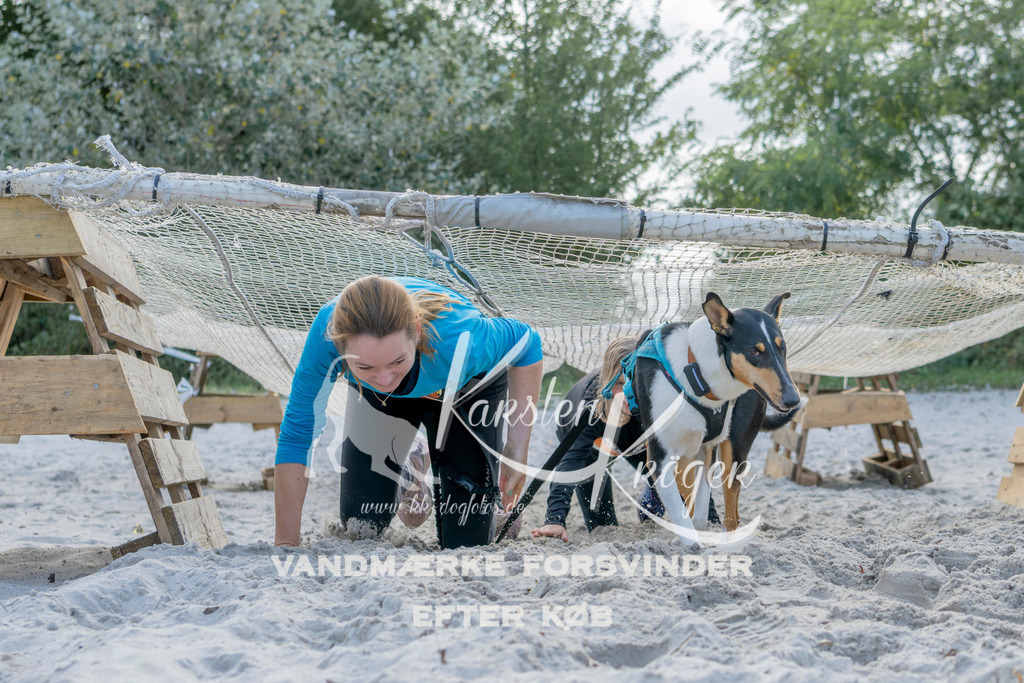 1239_ZZ92331 | kk-dogfotos