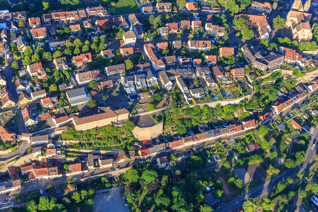 Luftbild: Schanze zwischen Schulgasse und Fischerhalde in Breisach am Rhein im Bundesland Baden-Württemberg in Deutschland. Foto: IMG_147854.jpg vom 30.05.2025 durch Werner Riehm/FLY-FOTO.de