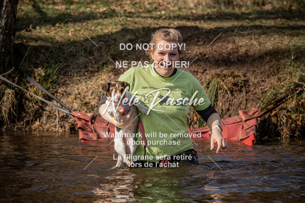 nelerasche_FS1330-1400_110 | nelerasche