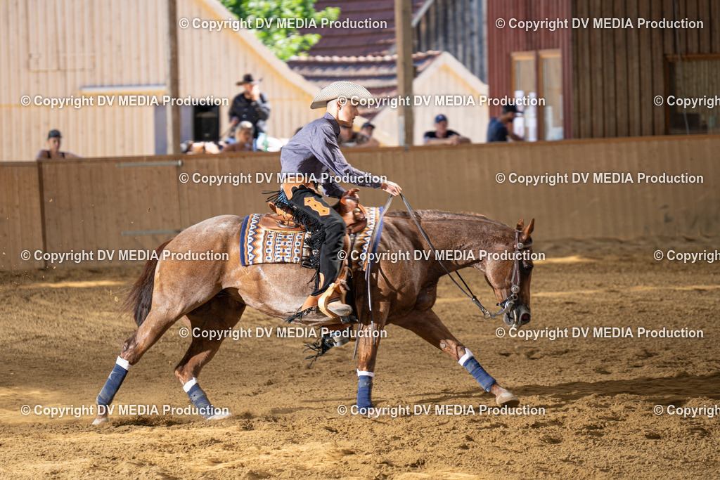 DSC00147 | dv-media-shop - Realisiert mit Pictrs.com