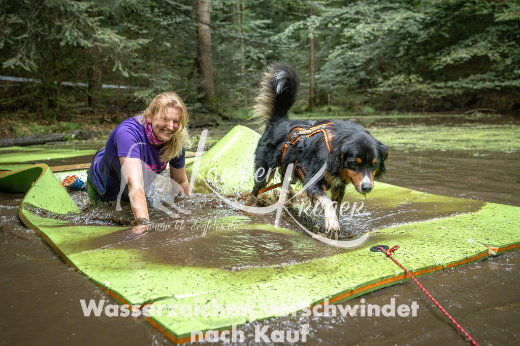 1537_ZZ91533-Bearbeitet | kk-dogfotos