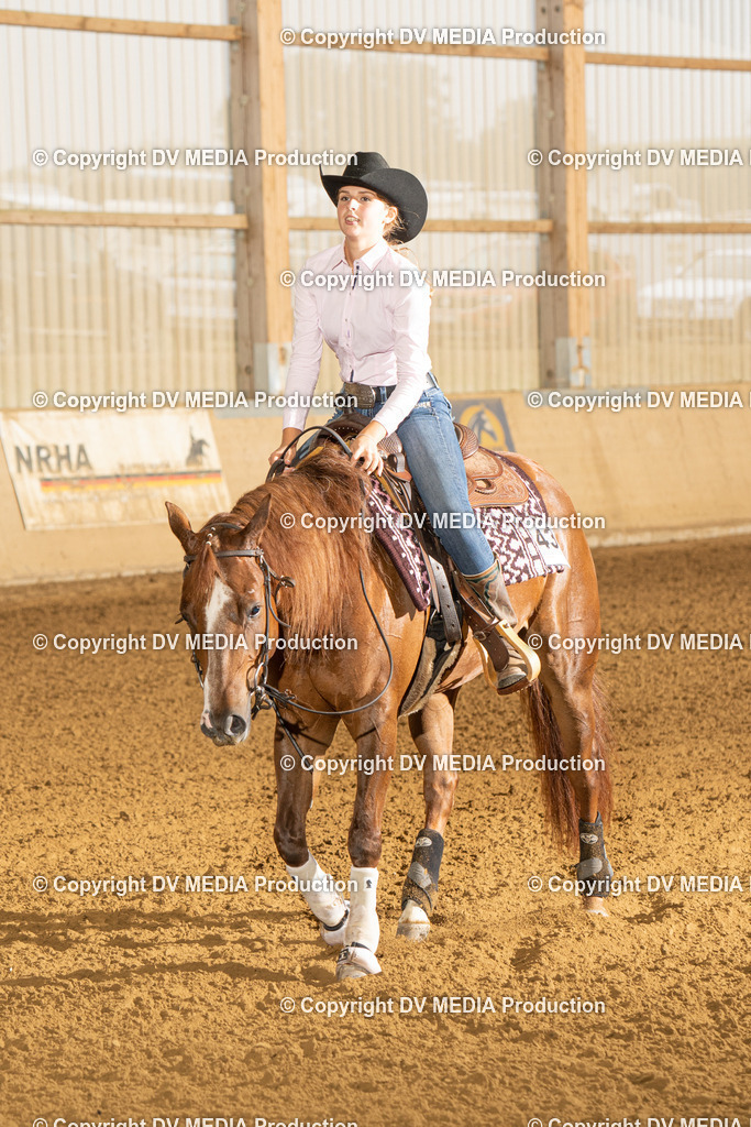 LAU00631 | dv-media-shop - Realisiert mit Pictrs.com