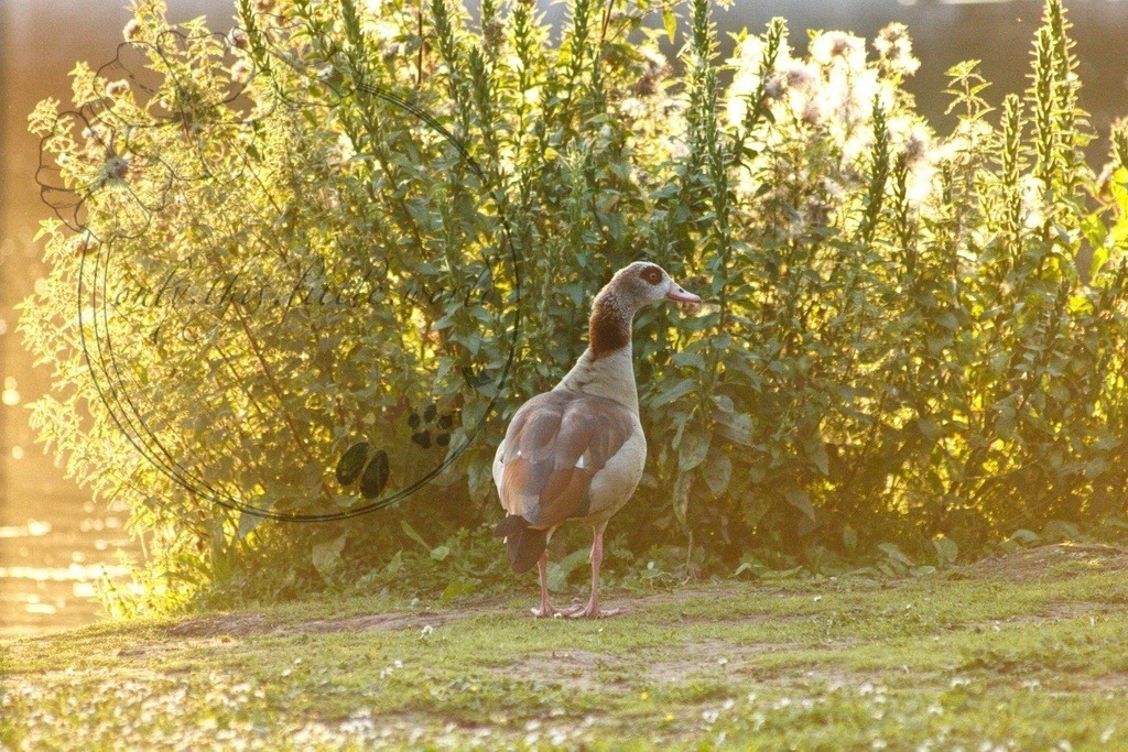 IMG_6687-01 | only.this.little.world - Realisiert mit Pictrs.com