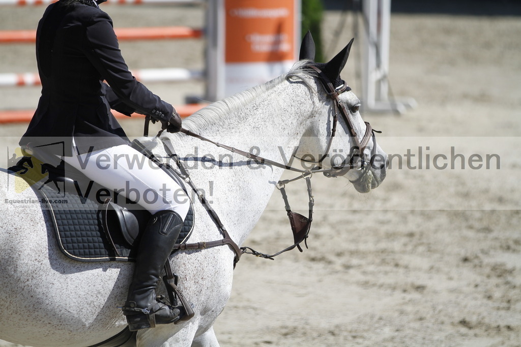 _MG_4640 | equestrian-live-com