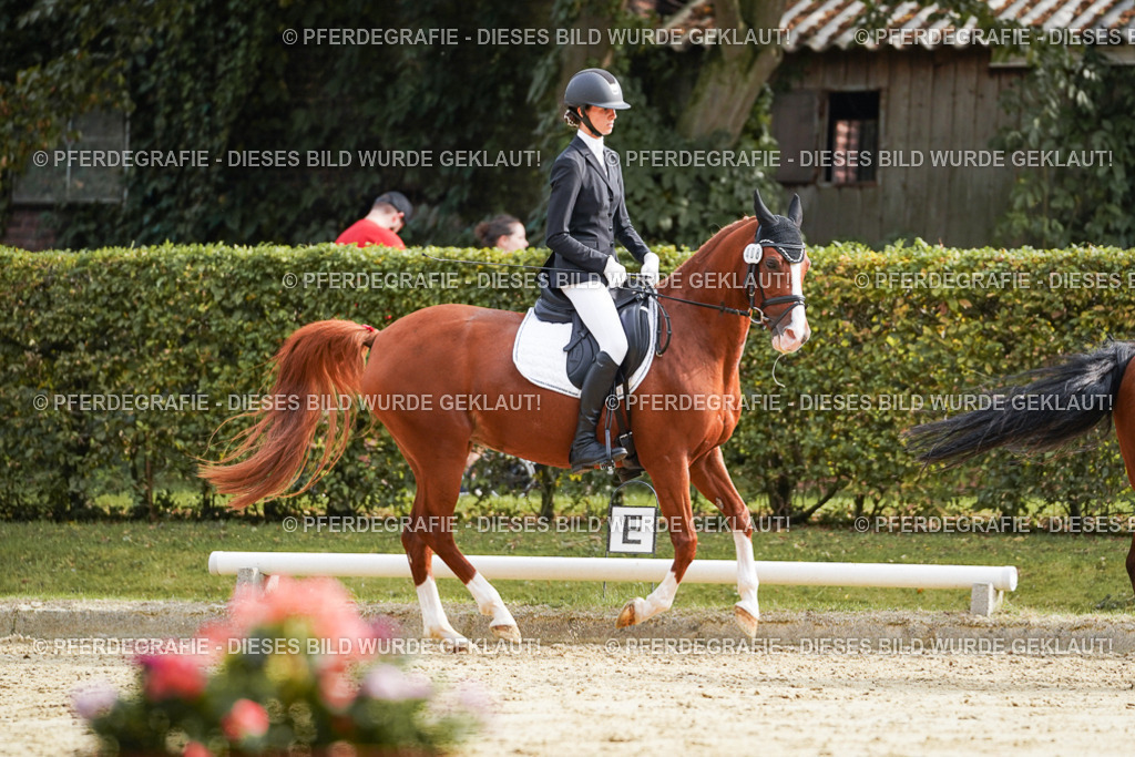 DSC04639 | Pferdegrafie