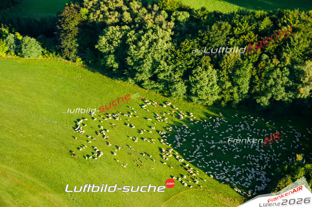 Die Luftaufnahme Schafe - Weismain wurde vom UL-Flugzeug (keine Drohne) aus fotografiert.Hohe Druck- Auflösung-die Geschenkidee!