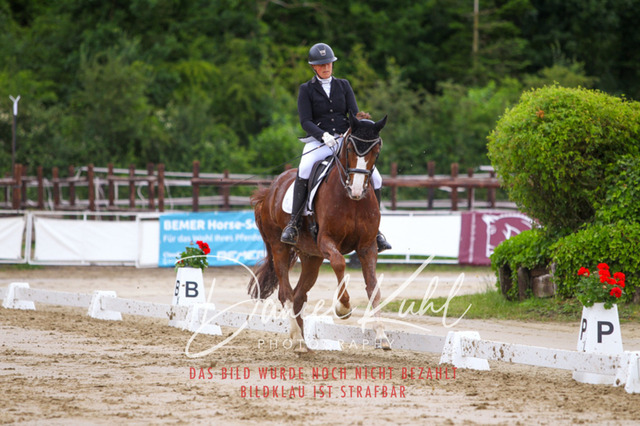 DKP47508 | Turniersportfotografie; Pferdefotografie; Dressurfotografie