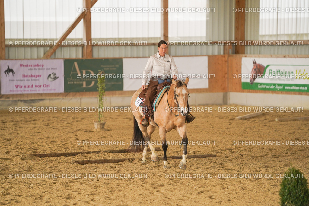 DSC03152 | Pferdegrafie