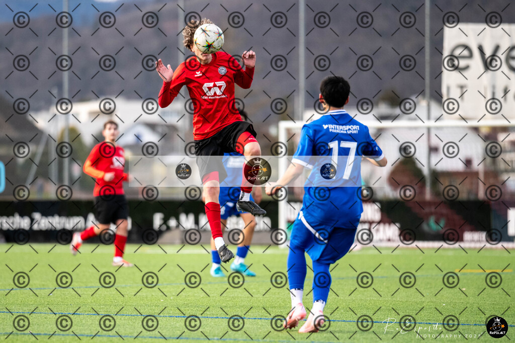 20250125_FCR-Ba vs Basel_112 | Sport und Naturfotografie von Roberto Esposito zeigt echte Momente Bewegung und die Schönheit der Natur. Ausdrucksstarke Bilder schaffen Emotionen.