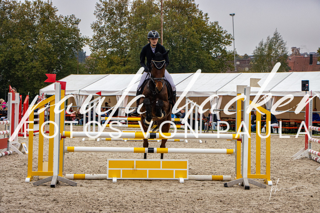 IMG_3356 | Erleben Sie dynamische Sport- und emotionale Tierfotografie in Süddeutschland mit Fotos von Paula. Spezialisiert auf Pferde- und Hundefotografie sowie Sportevents. Kontaktieren Sie mich für einzigartige und ausdrucksstarke Bilder Ihrer besonderen Momente. - Realisiert mit Pictrs.com
