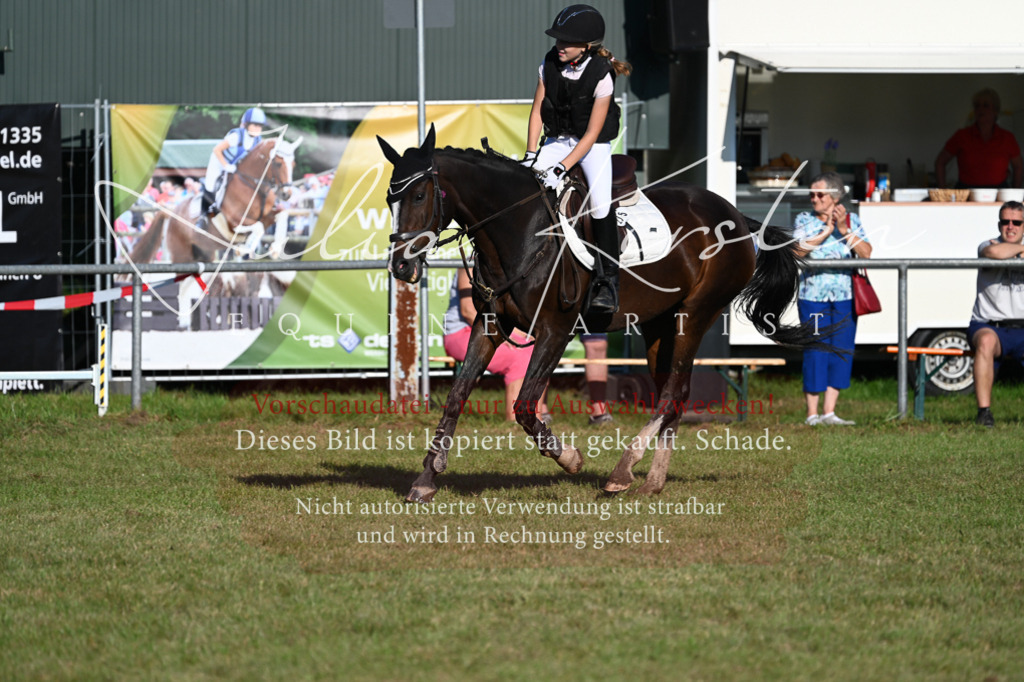 DSC_4686 | Pferde- und Turnierfotografie in Westsachsen. Pferdeportraits, Auftragszeichnungen und intuitive Kunst.