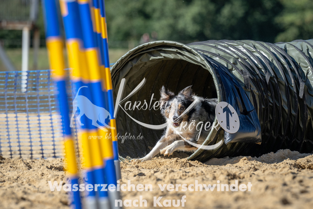 1313_ZZ94100-2 | kk-dogfotos