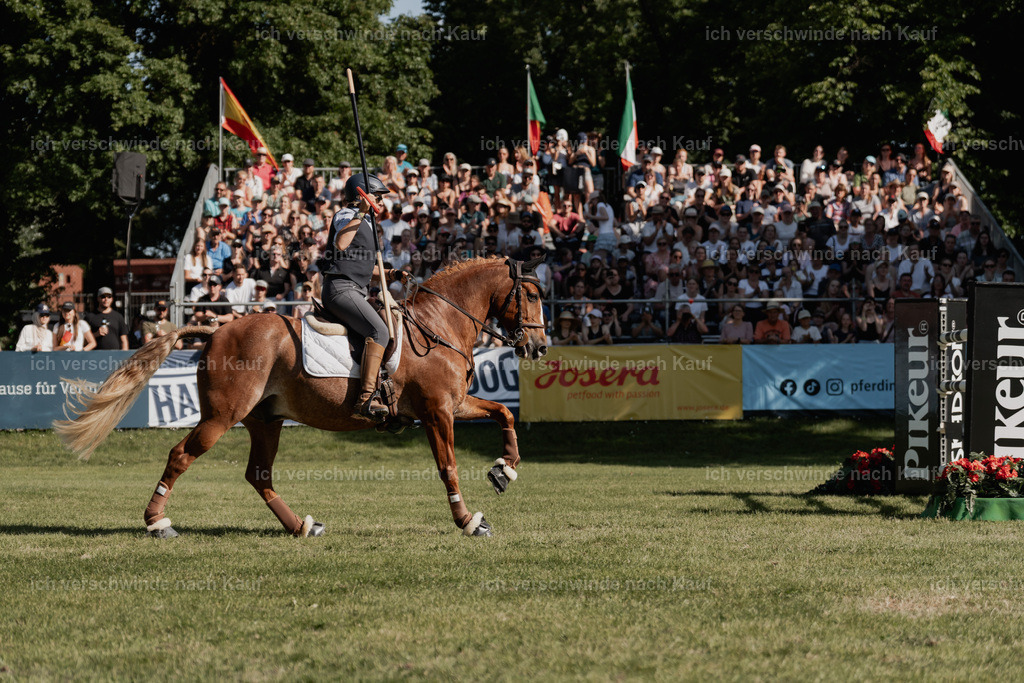 WE_MOS_Stoib_323_PI2025_2287 | Pferd International München 2025