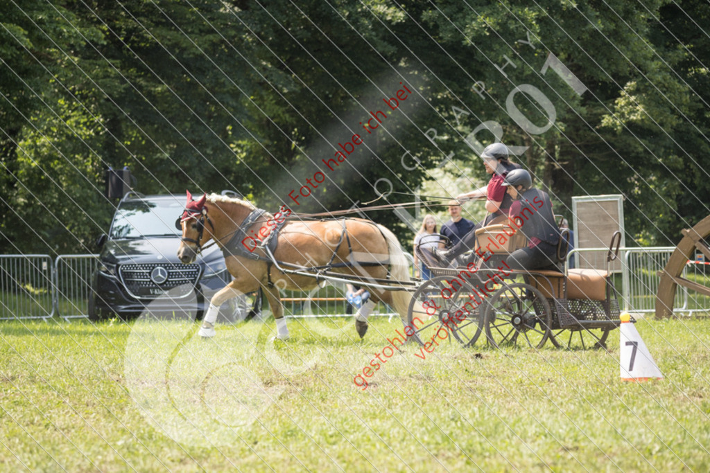 IMG_8524 | Sport-, Event- und Tierfotos in Profiqualität. Einfach auswählen, bestellen und herunterladen. Dein Moment – perfekt festgehalten.